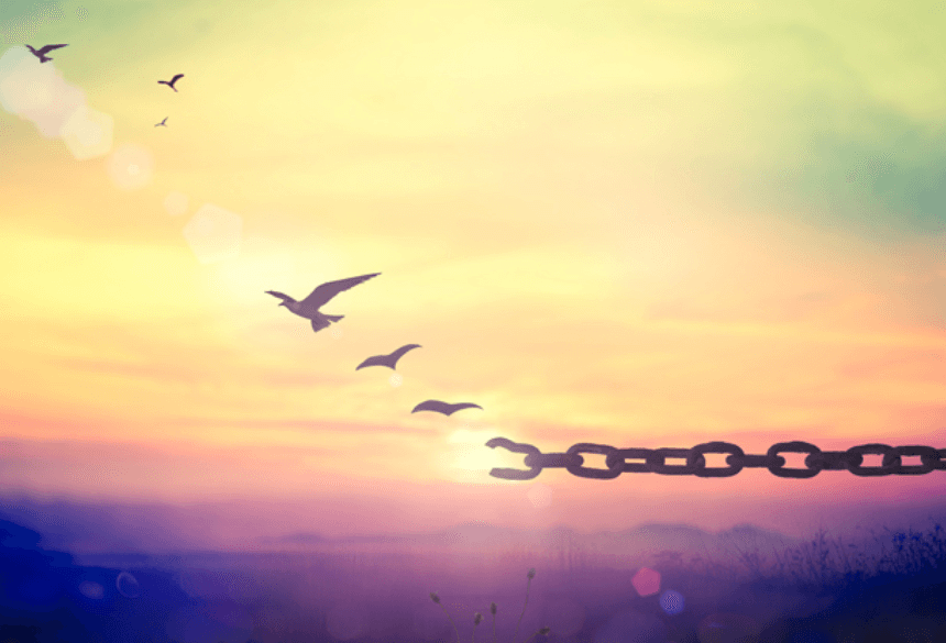 Bird Breaking Chains Fly Freedom