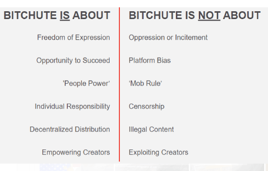 BitChute Content Hosting Platform