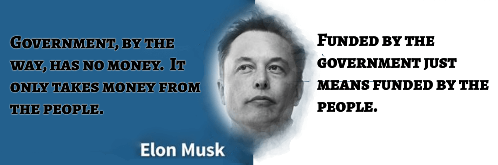 Elon Musk Quotepic Government Funding