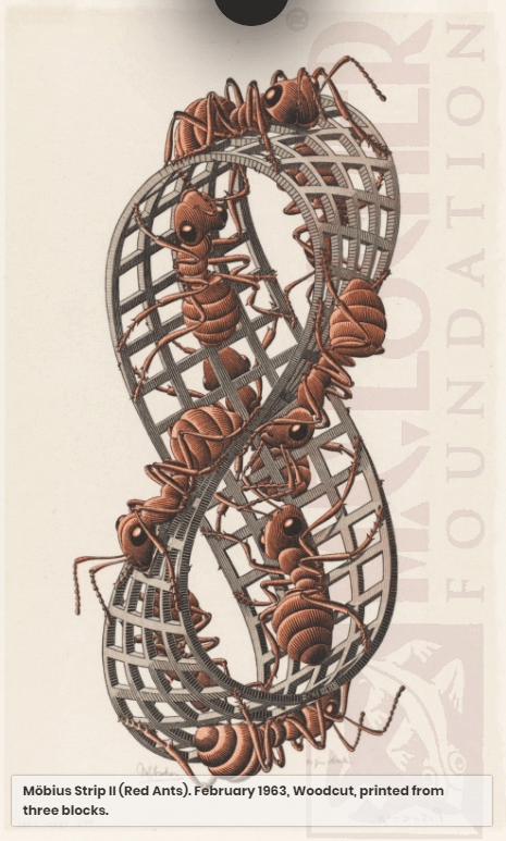 MC Escher Ants Moebius Strip