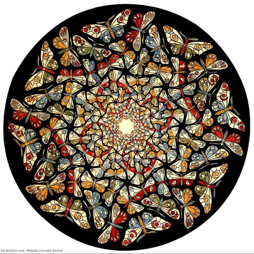 MC Escher Butterflies Tesselation