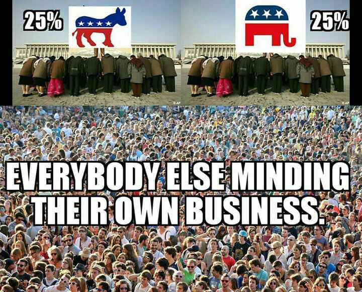 Meme picture voting poplations - most people mind their own business