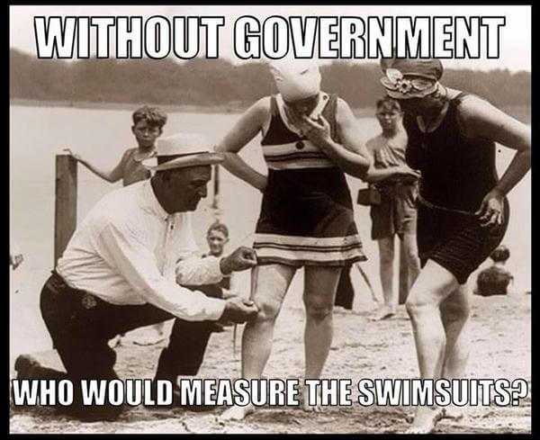 Liberty Meme: Without government, who would measure the swimsuits?