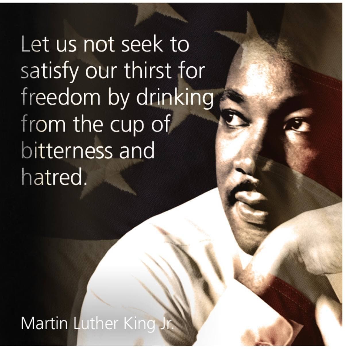 Martin Luther King Quotepic "Let us not seek to satisfy our thirst for freedom by drinking from the cup of bitterness and hatred."