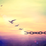 Bird Breaking Chains Fly Freedom