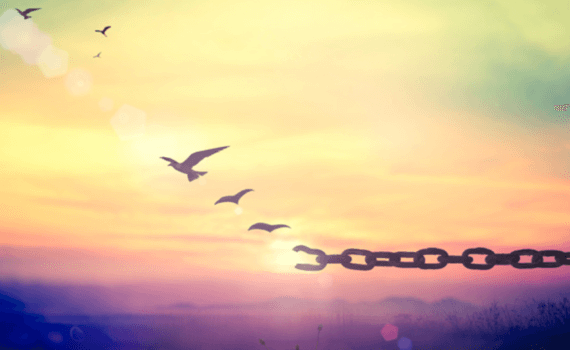 Bird Breaking Chains Fly Freedom