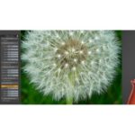 Cristobal Vila Music Animation Eterea