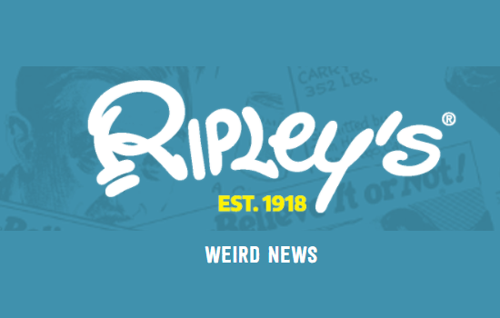 'Ripley's Believe It Or Not' Weird News, Features, and Strange Stories. Short articles about weird, relatively unbelievable stuff for kids.