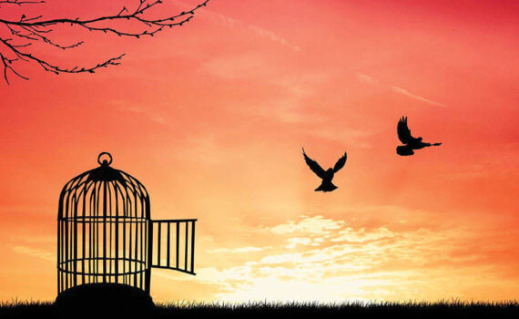Uncaged Birds Freedom