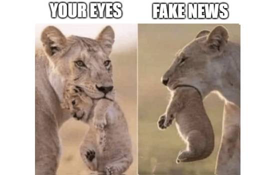 Your Eyes vs Fake News
